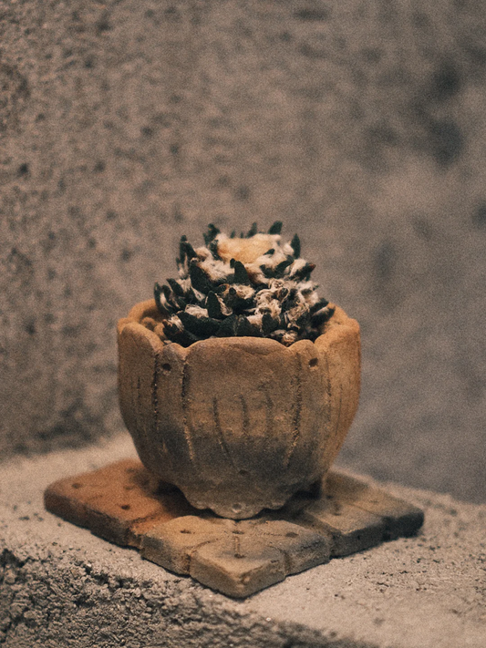 Handcrafted Rustic Ceramic Planter with Pinecone Accent